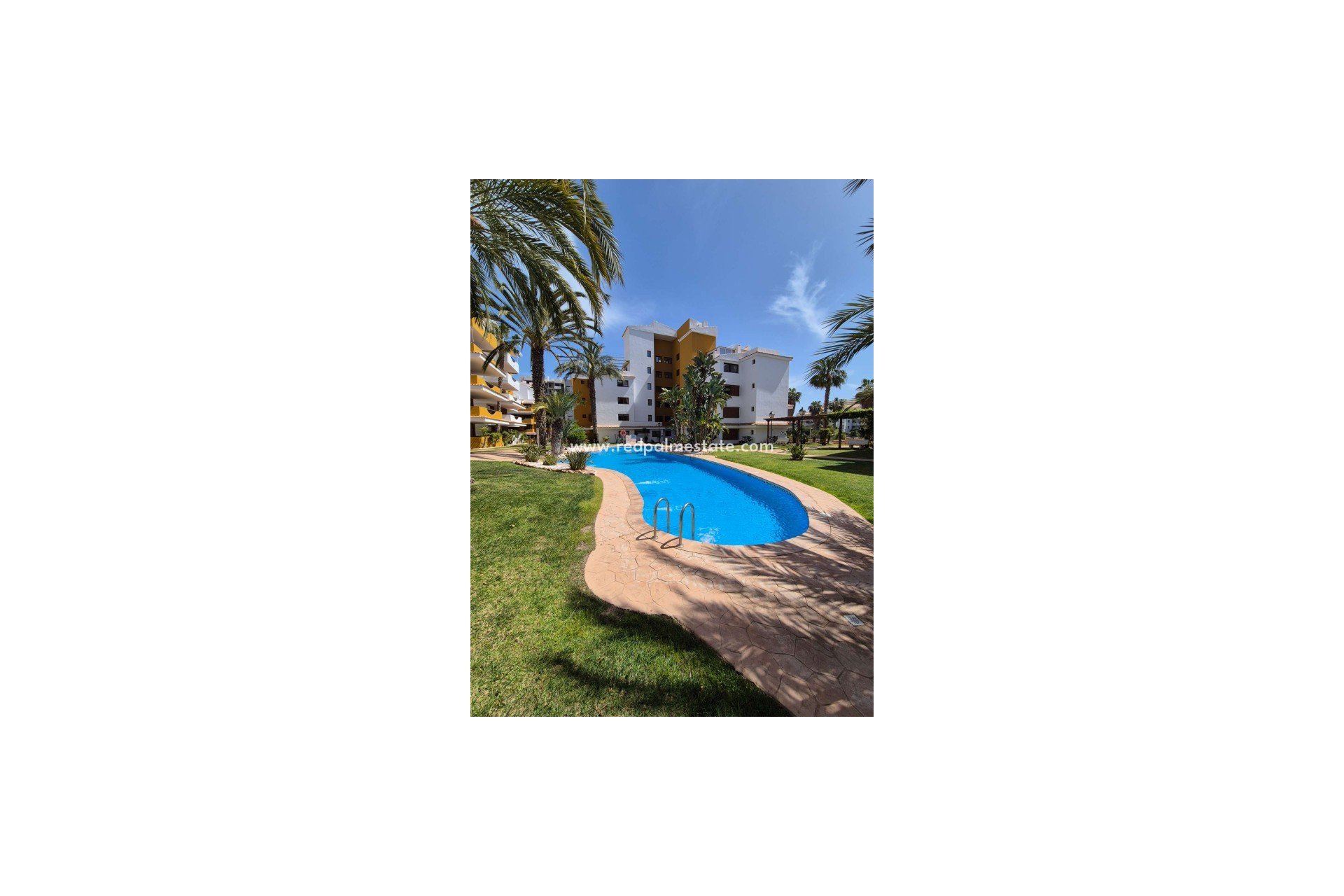 Reventa - Apartmentos -
Torrevieja - Punta prima