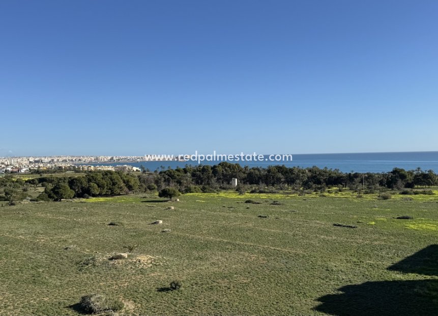 Reventa - Apartmentos -
Torrevieja - Punta prima