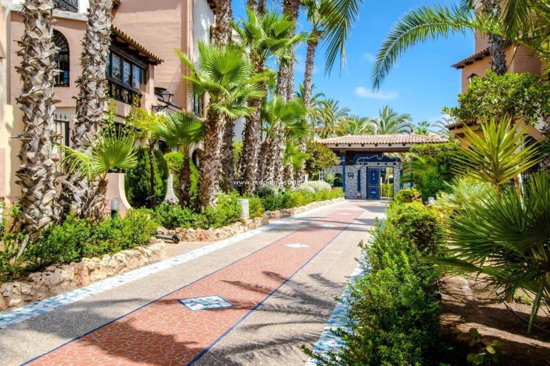 Reventa - Apartmentos -
Torrevieja - Rosaleda-los frutales