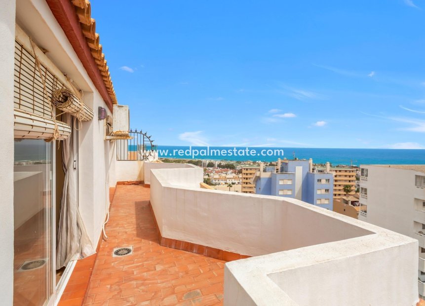 Reventa - Apartmentos -
Torrevieja - Torreblanca
