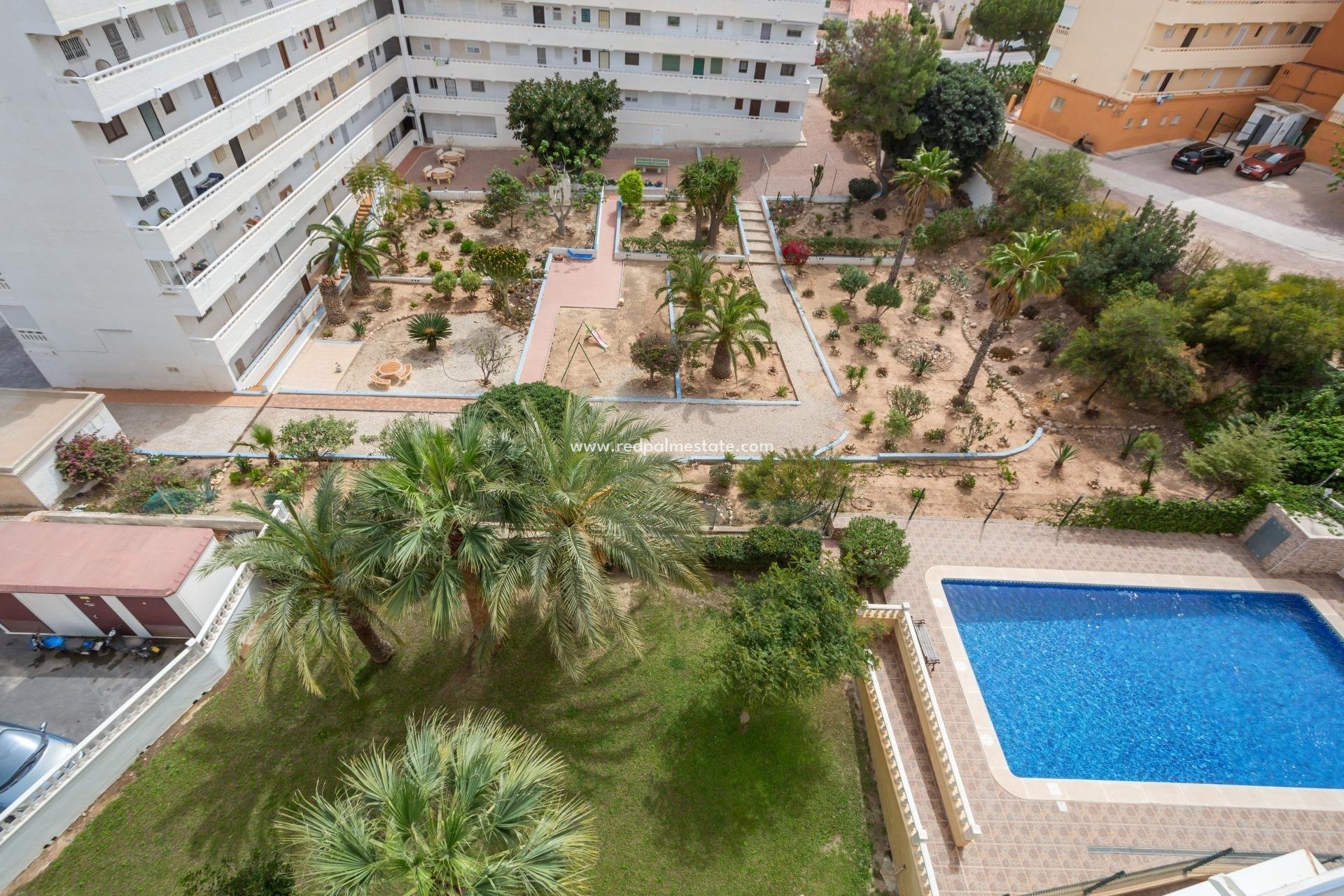 Reventa - Apartmentos -
Torrevieja - Torreblanca