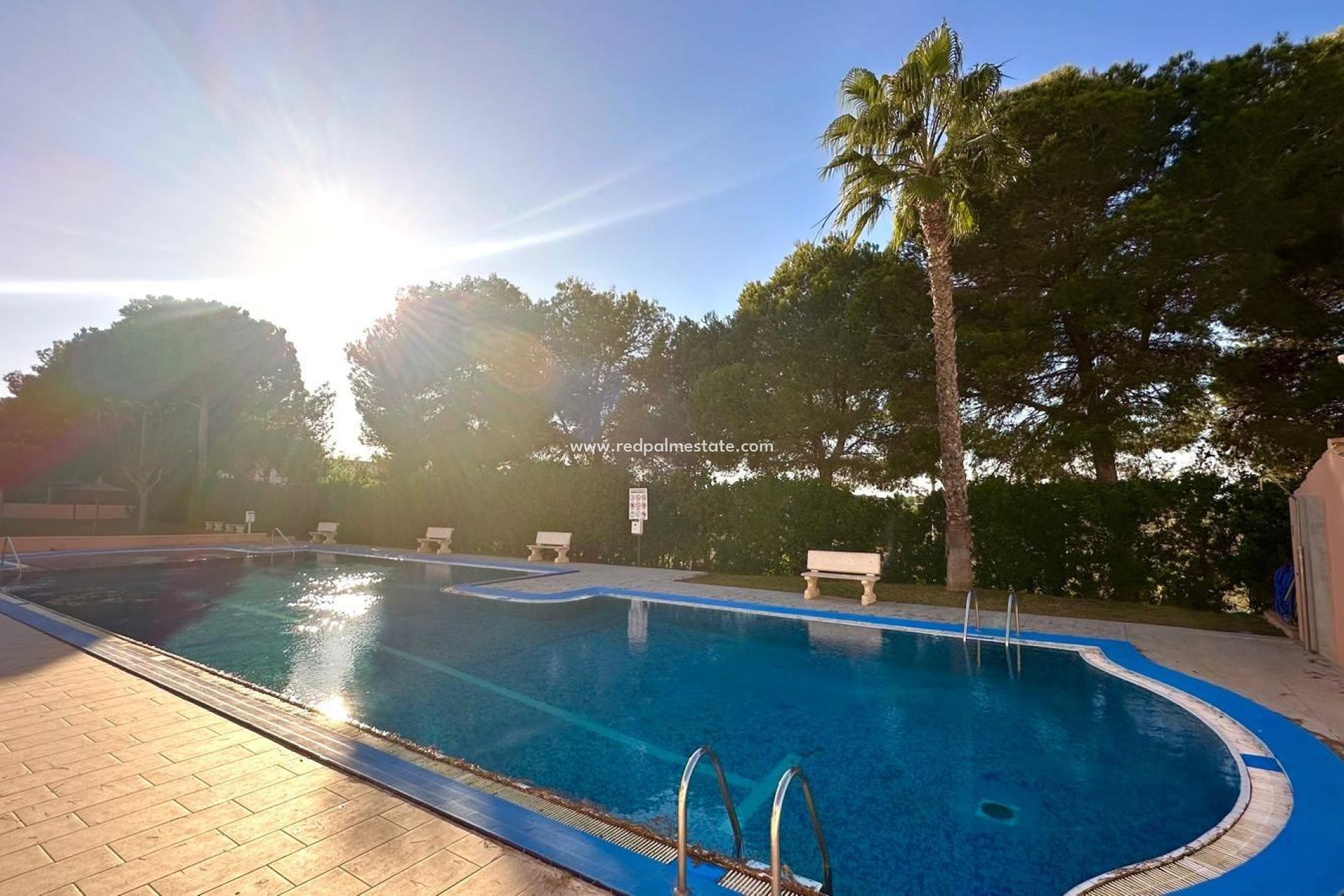 Reventa - Apartmentos -
Torrevieja - Torreblanca