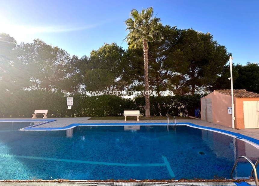 Reventa - Apartmentos -
Torrevieja - Torreblanca