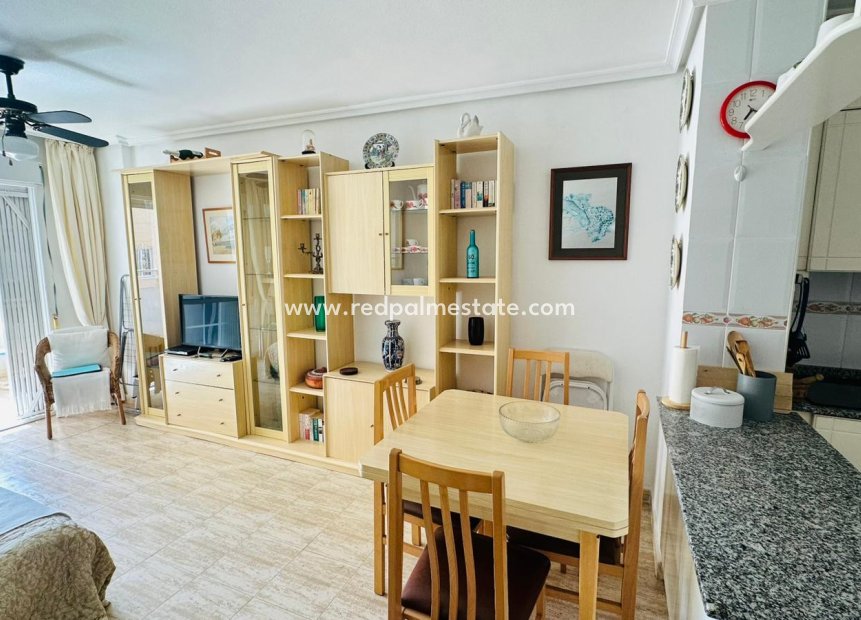 Reventa - Apartmentos -
Torrevieja - Urbanización San Luis