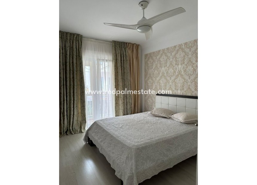 Reventa - Apartmentos -
Torrevieja