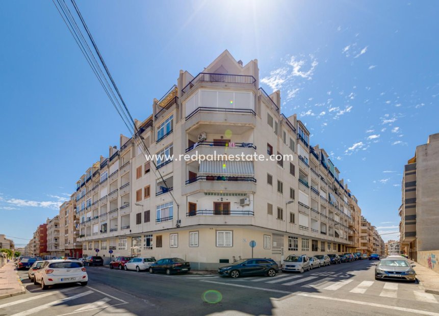 Reventa - Apartmentos -
Torrevieja