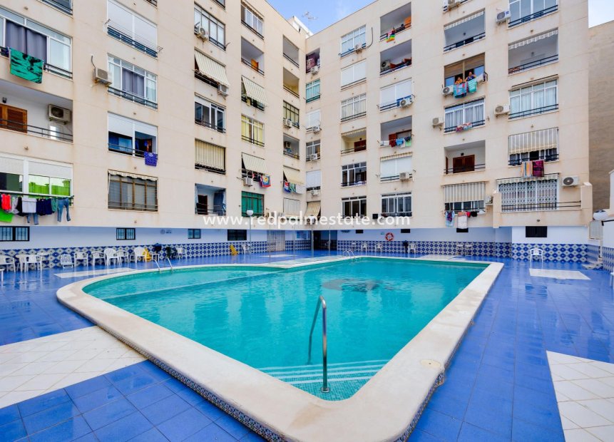 Reventa - Apartmentos -
Torrevieja