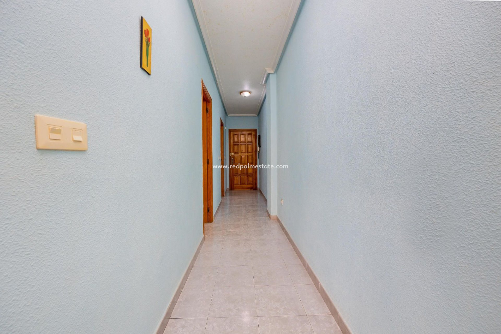 Reventa - Apartmentos -
Torrevieja