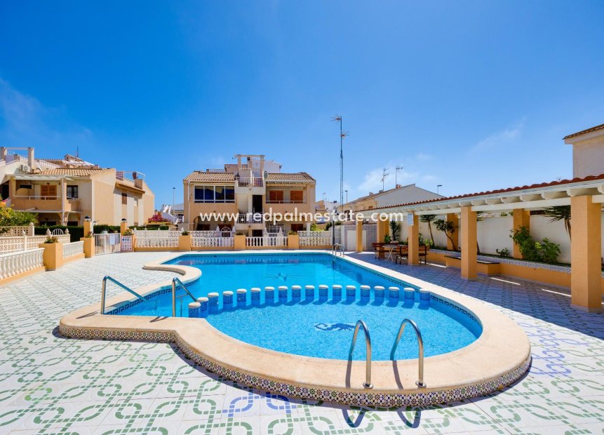 Reventa - Apartmentos -
Torrevieja