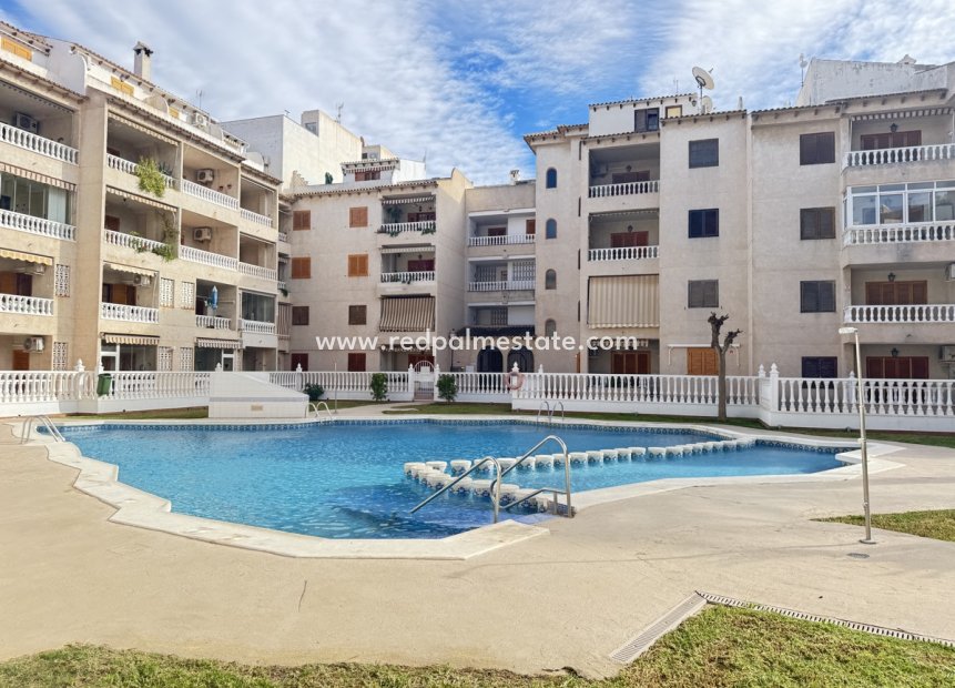Reventa - Apartmentos -
Torrevieja