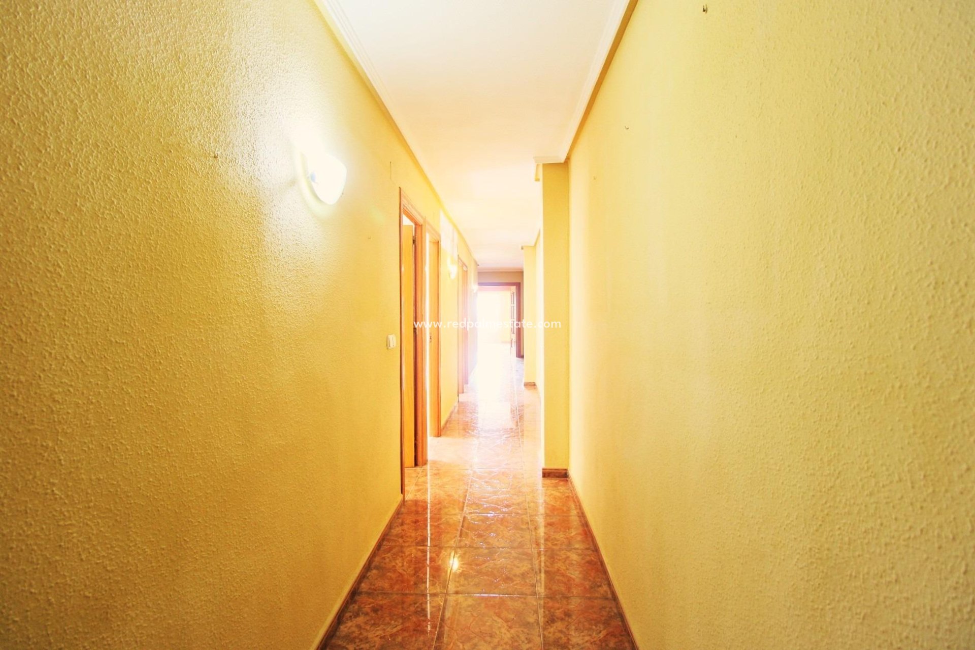 Reventa - Apartmentos -
Torrevieja