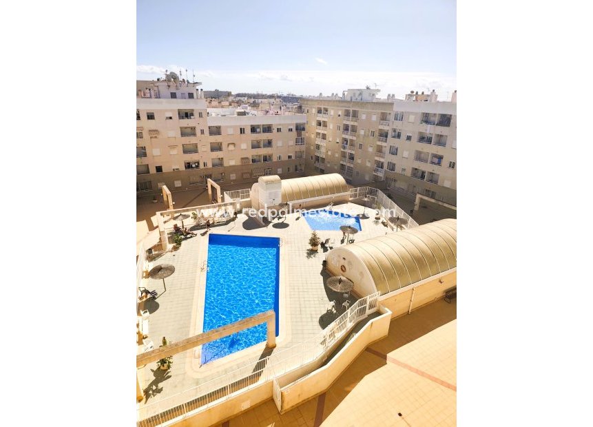 Reventa - Apartmentos -
Torrevieja