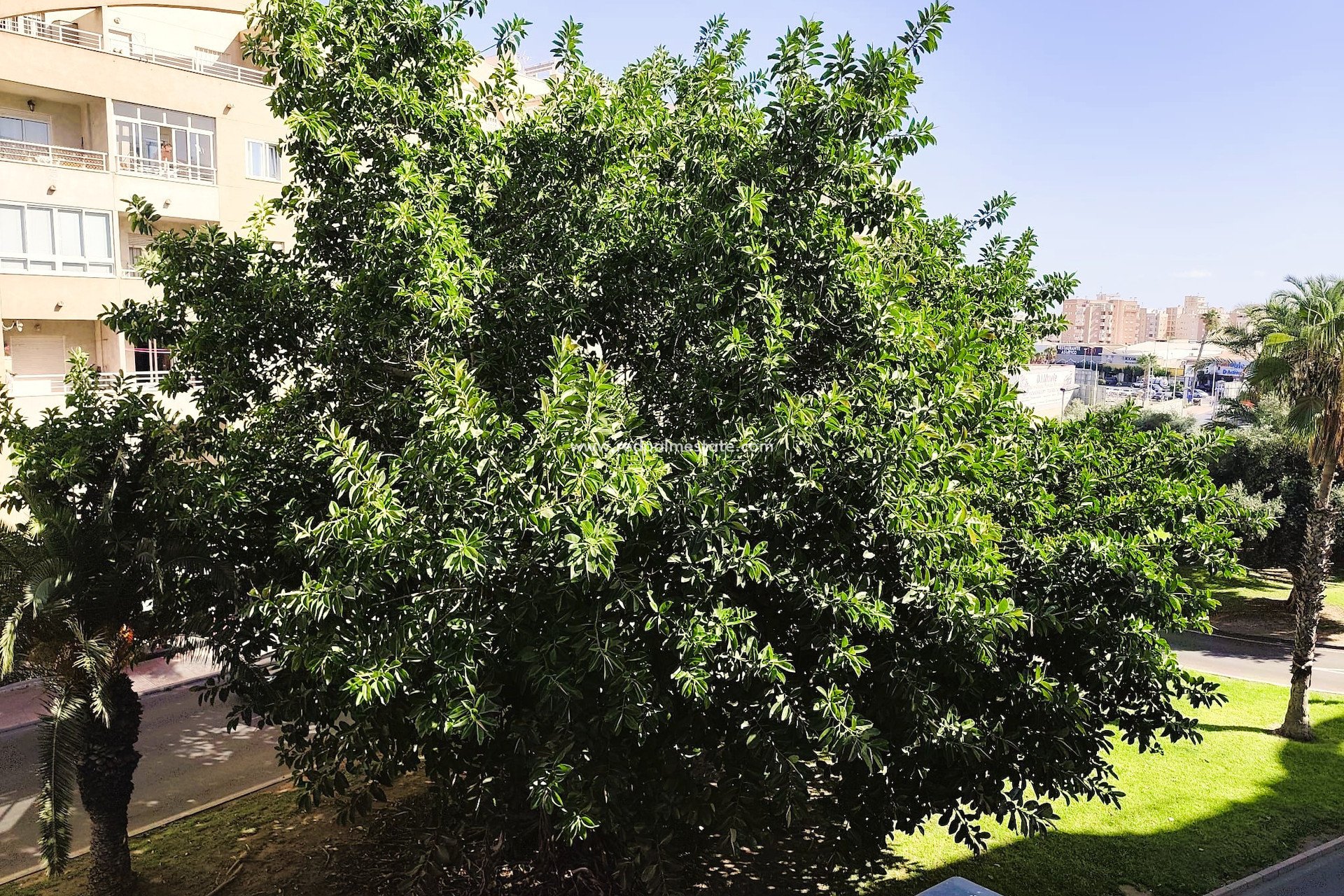 Reventa - Apartmentos -
Torrevieja