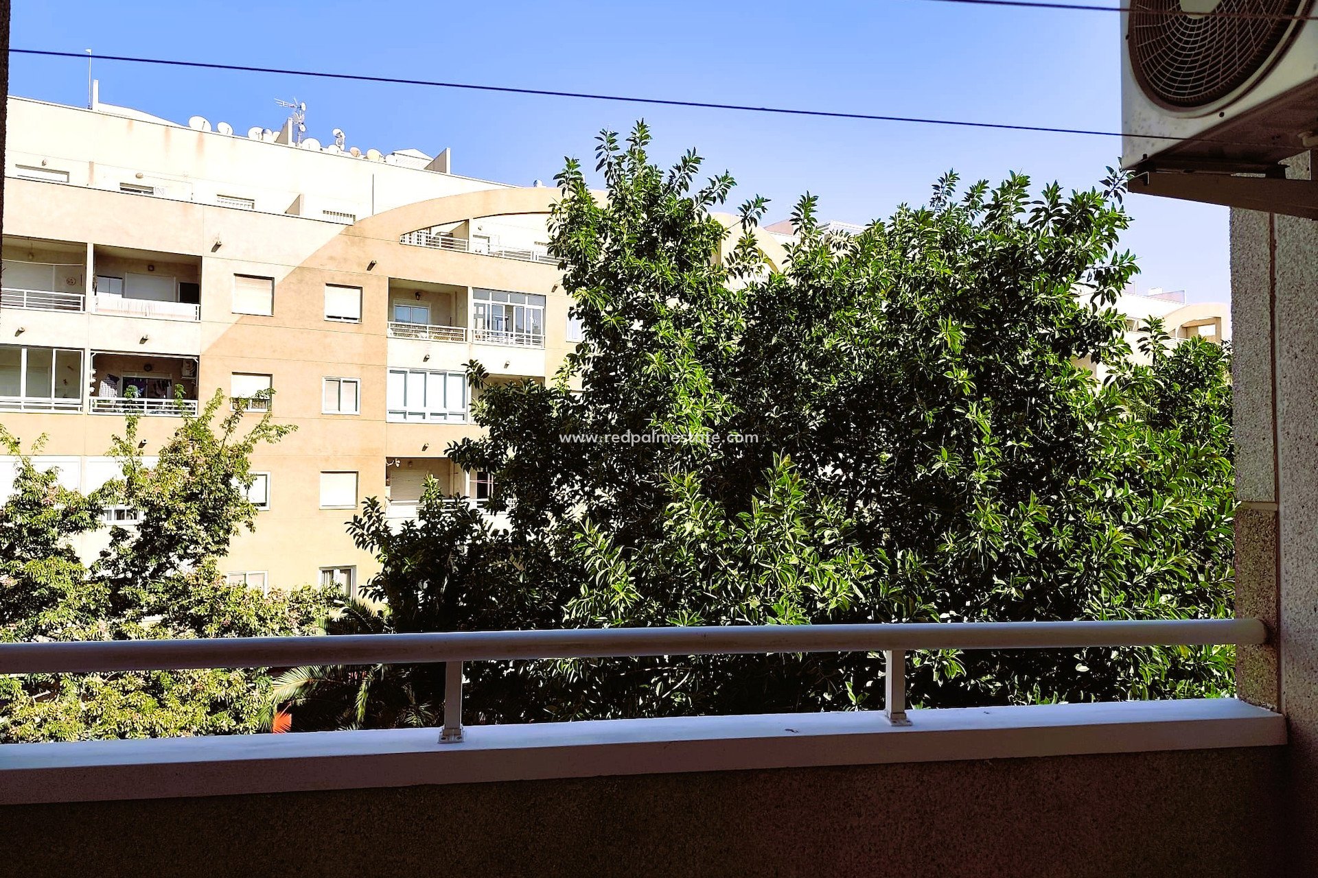 Reventa - Apartmentos -
Torrevieja