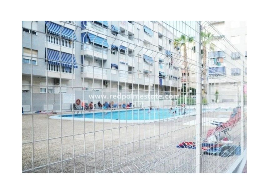 Reventa - Apartmentos -
Torrevieja