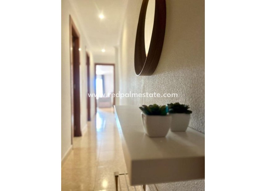 Reventa - Apartmentos -
Torrevieja