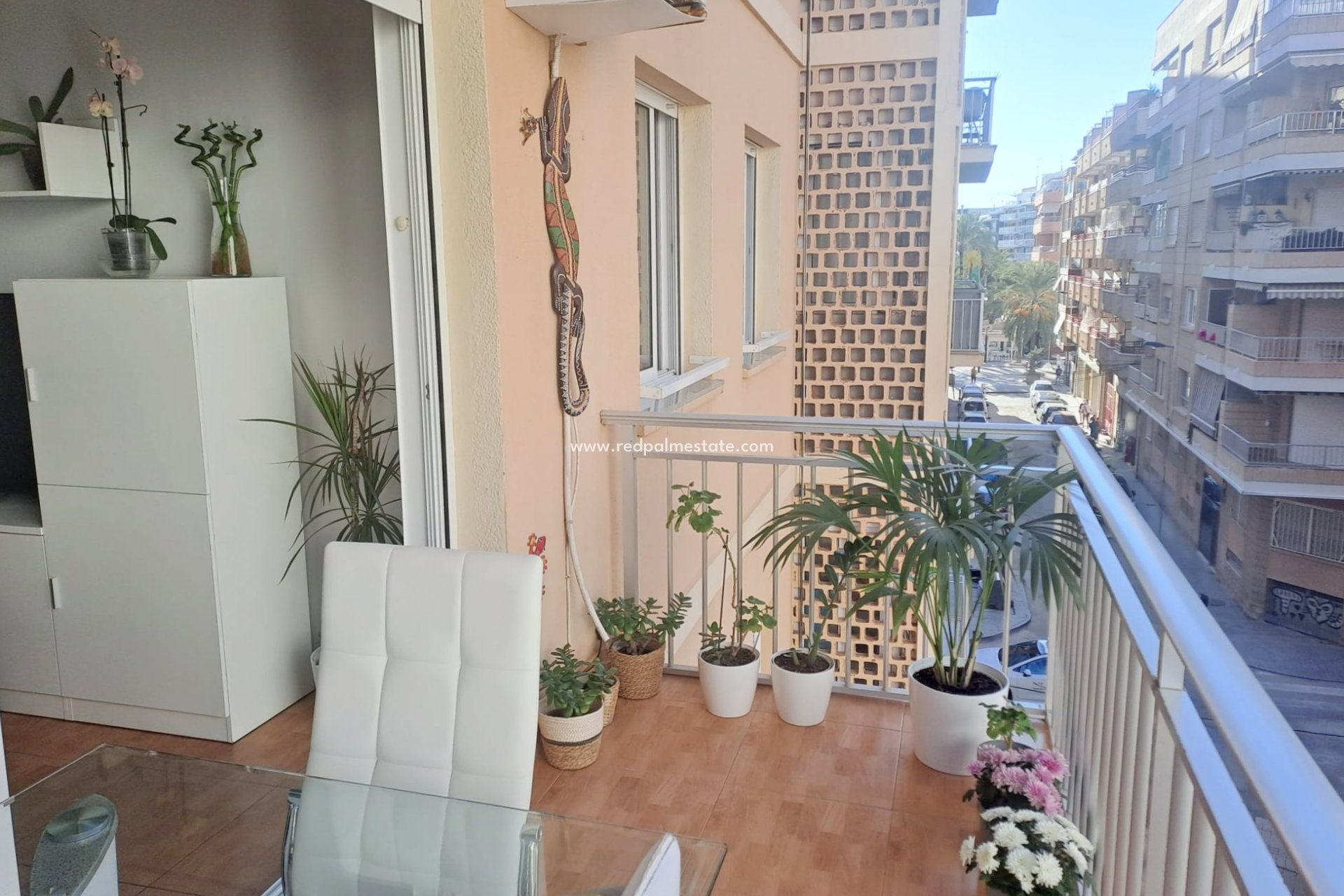 Reventa - Apartmentos -
Torrevieja