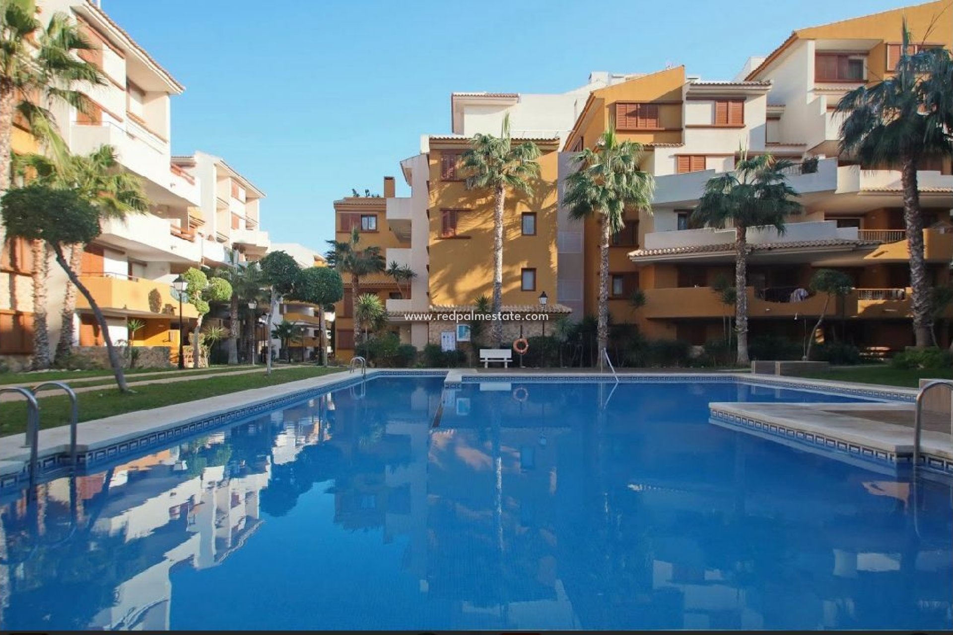 Reventa - Apartmentos -
Torrevieja