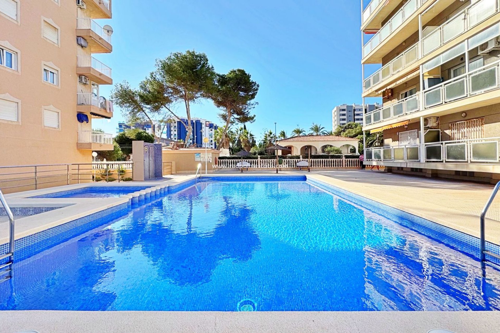 Reventa - Apartmentos -
Torrevieja