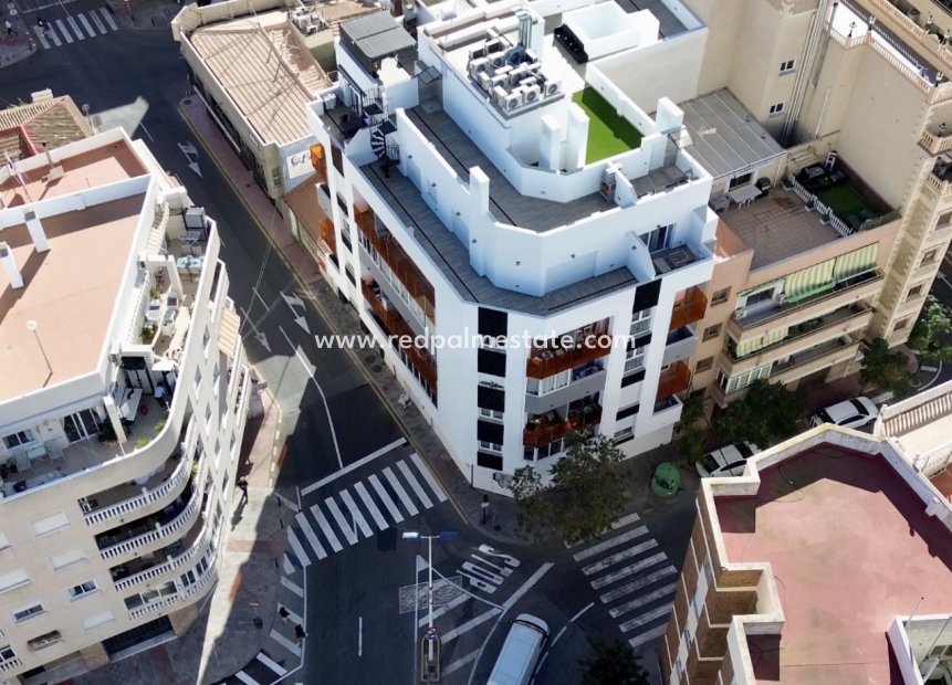 Reventa - Apartmentos -
Torrevieja