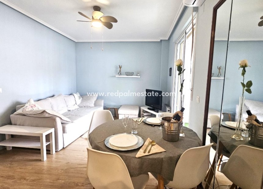 Reventa - Apartmentos -
Torrevieja