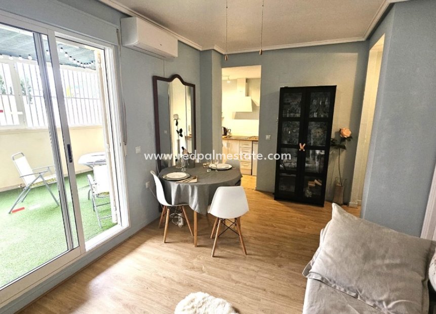 Reventa - Apartmentos -
Torrevieja