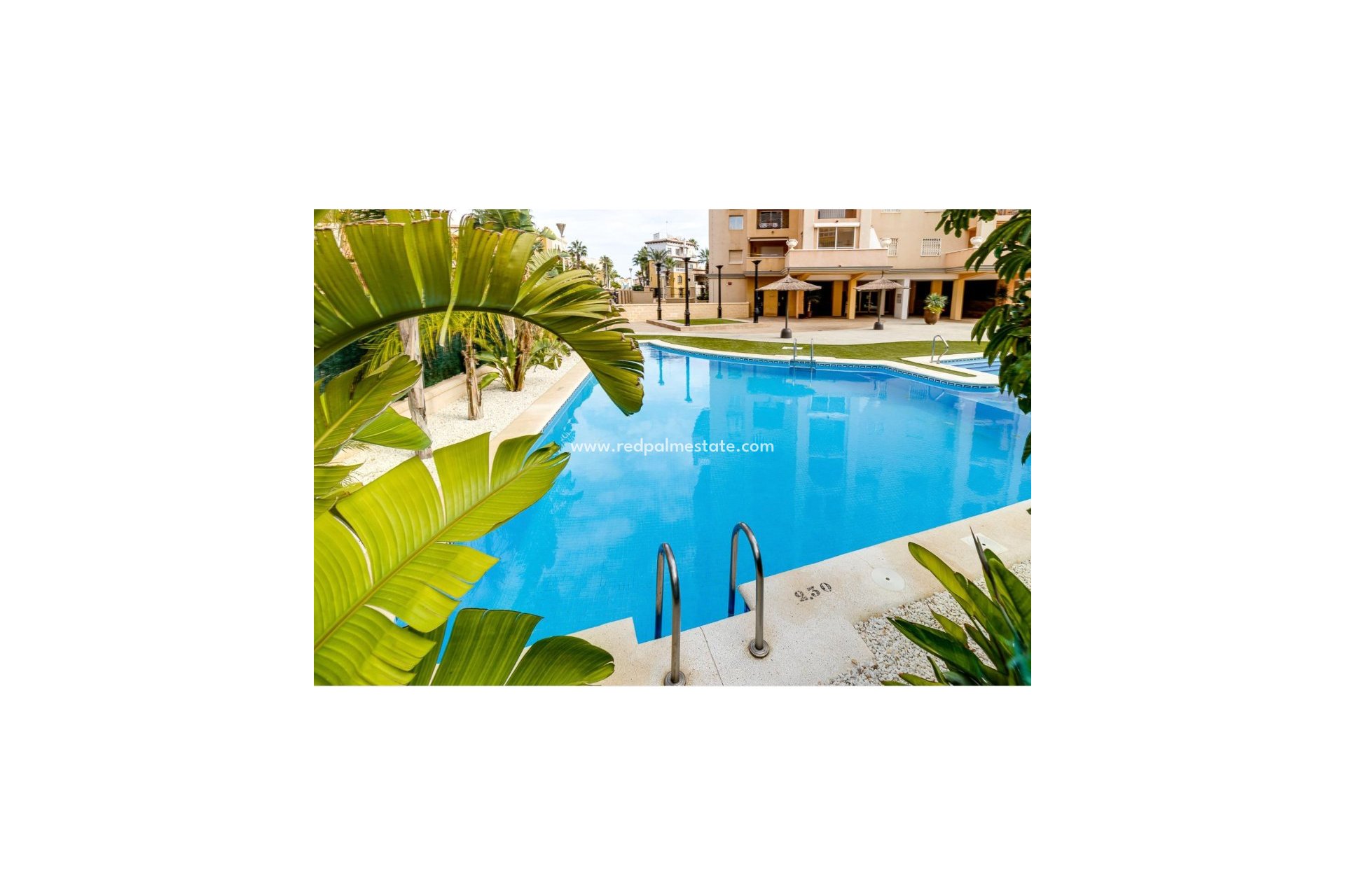 Reventa - Apartmentos -
Torrevieja