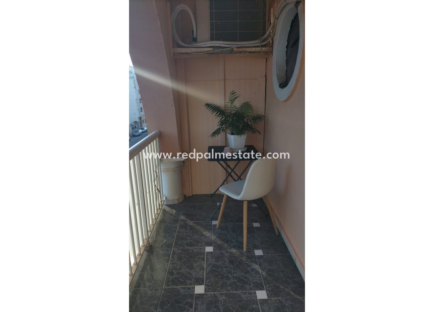 Reventa - Apartmentos -
Torrevieja