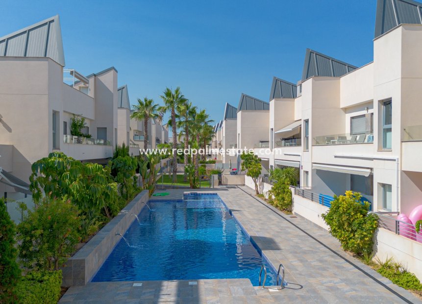 Reventa - Apartmentos -
Torrevieja