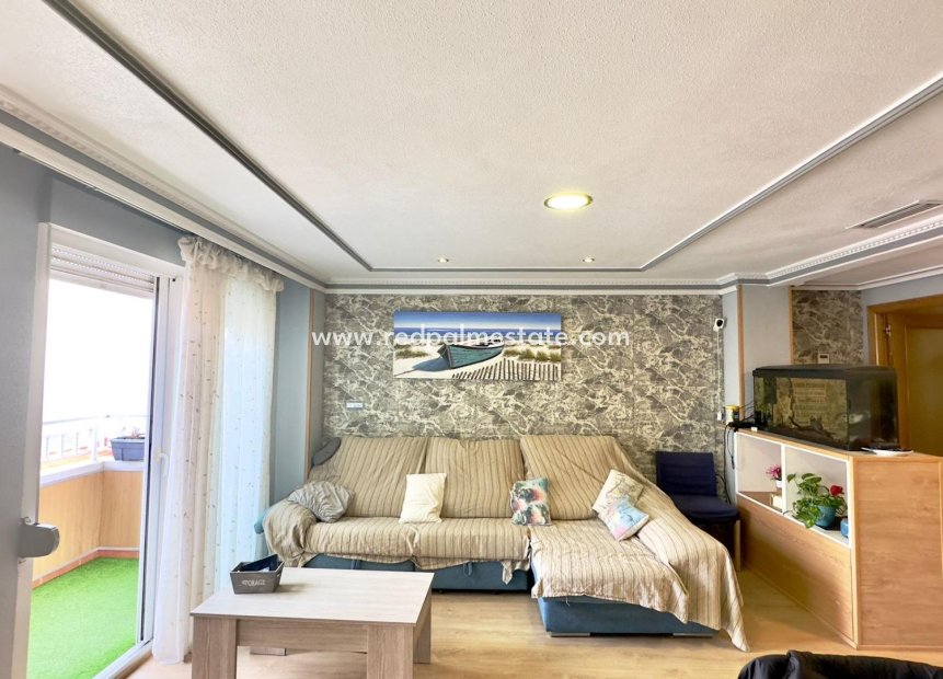 Reventa - Apartmentos -
Torrevieja