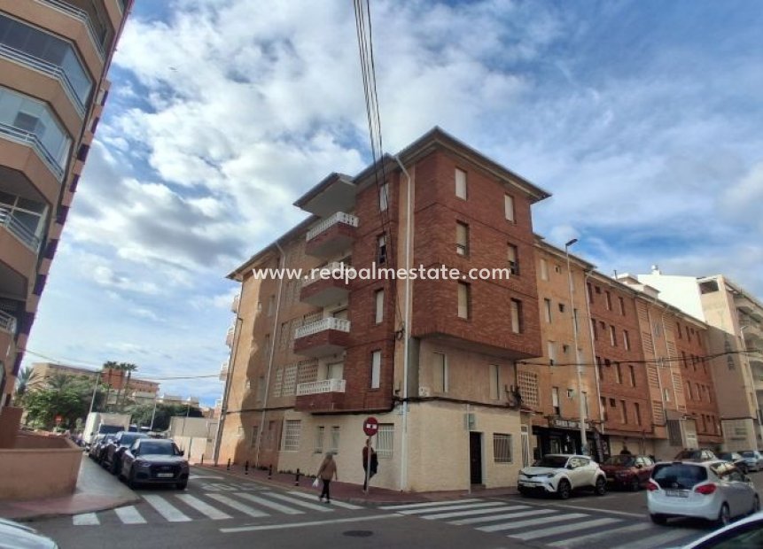 Reventa - Apartmentos -
Torrevieja