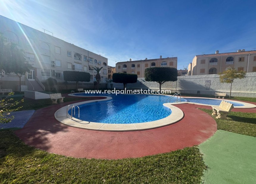 Reventa - Apartmentos -
Torrevieja
