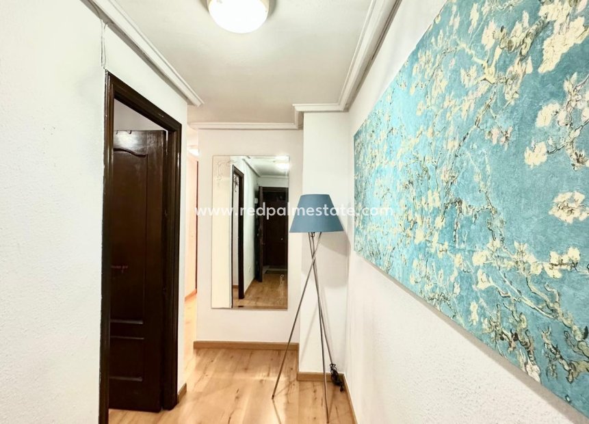 Reventa - Apartmentos -
Torrevieja