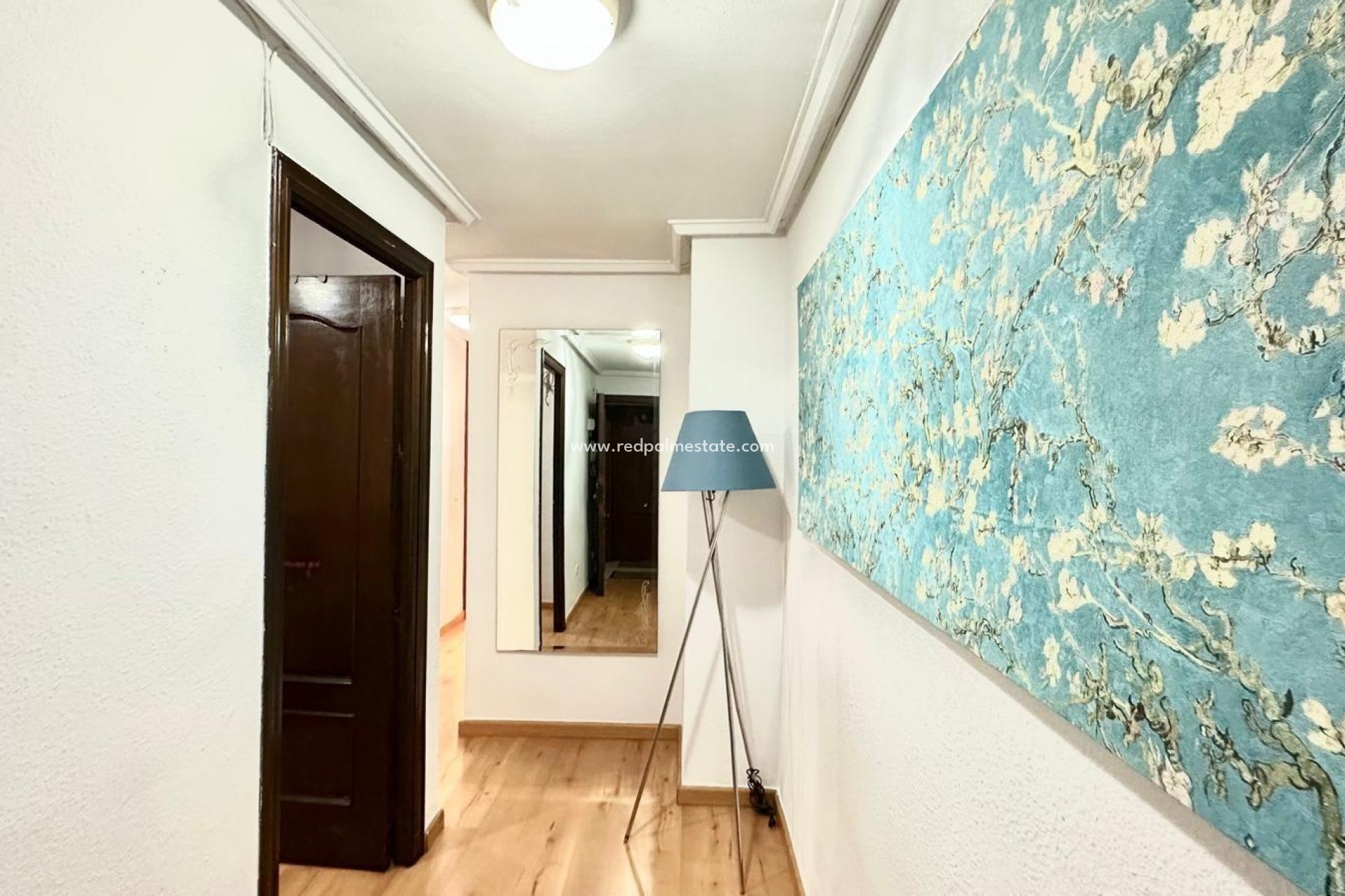 Reventa - Apartmentos -
Torrevieja