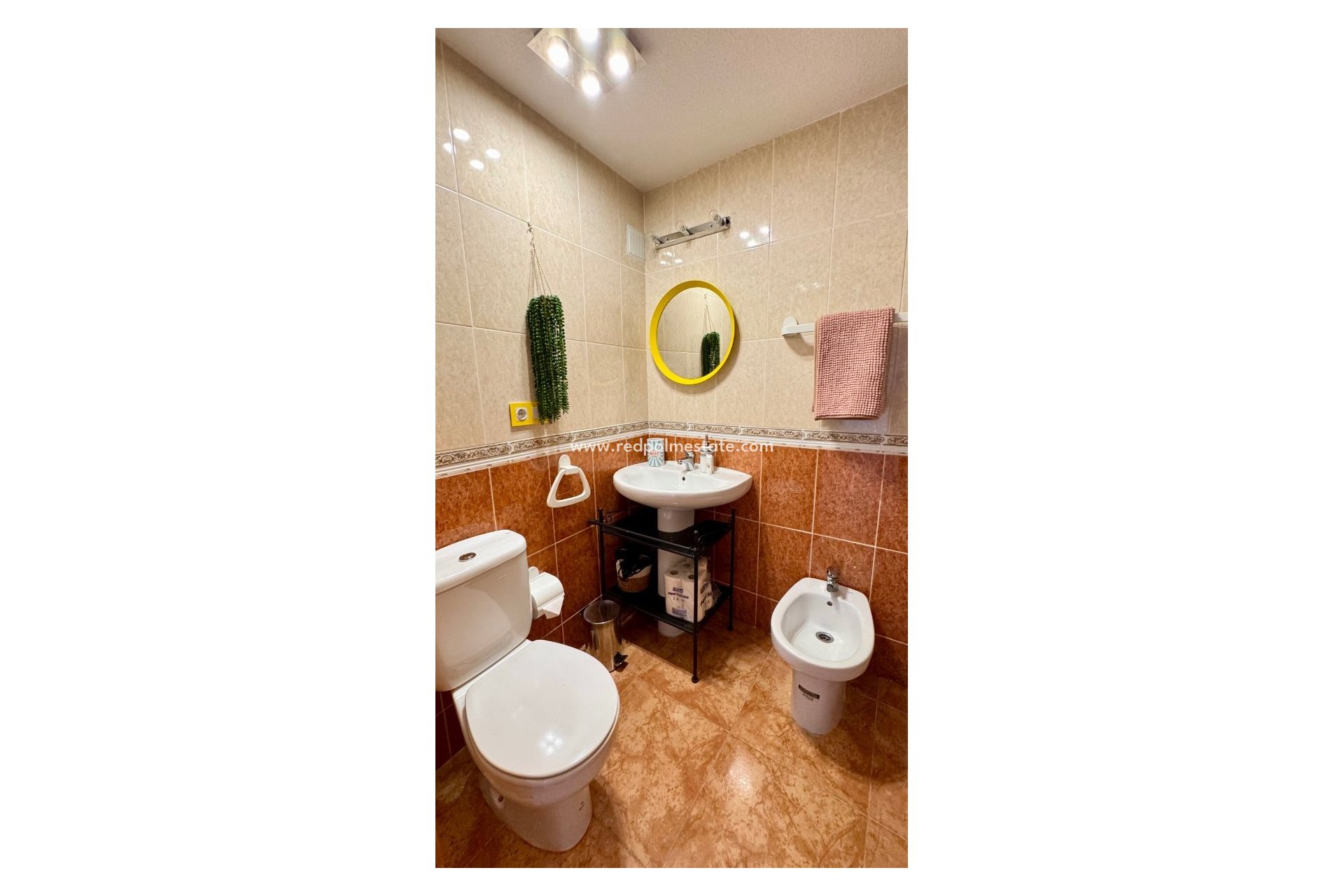 Reventa - Apartmentos -
Torrevieja