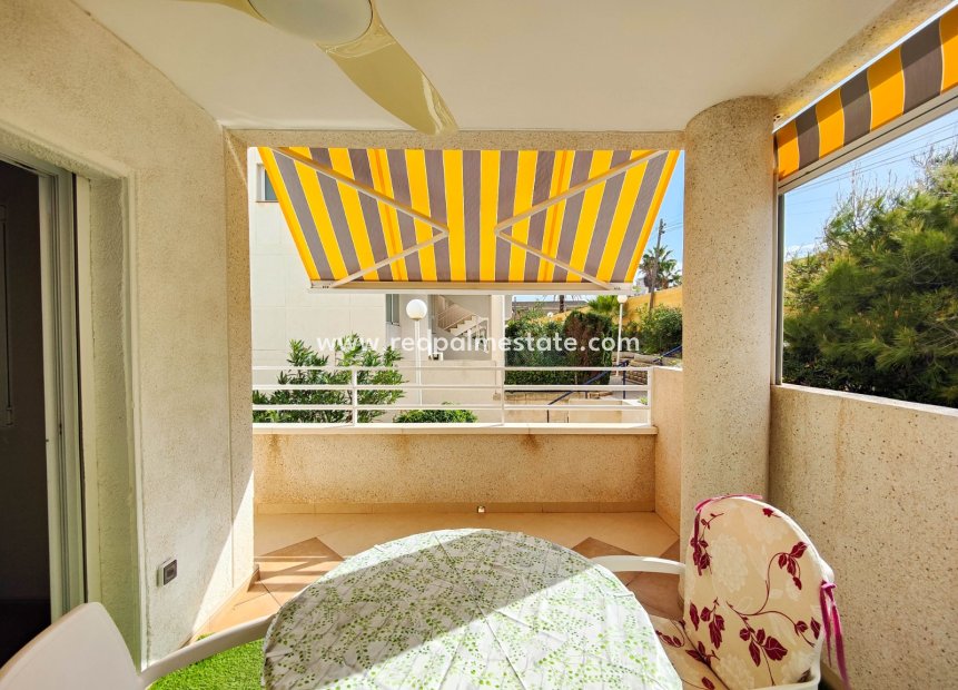 Reventa - Apartmentos -
Torrevieja