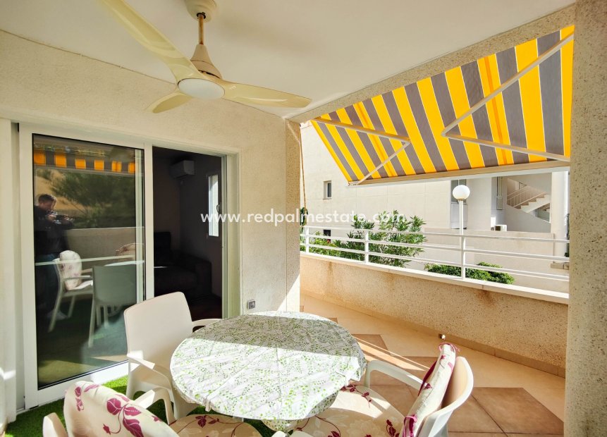 Reventa - Apartmentos -
Torrevieja