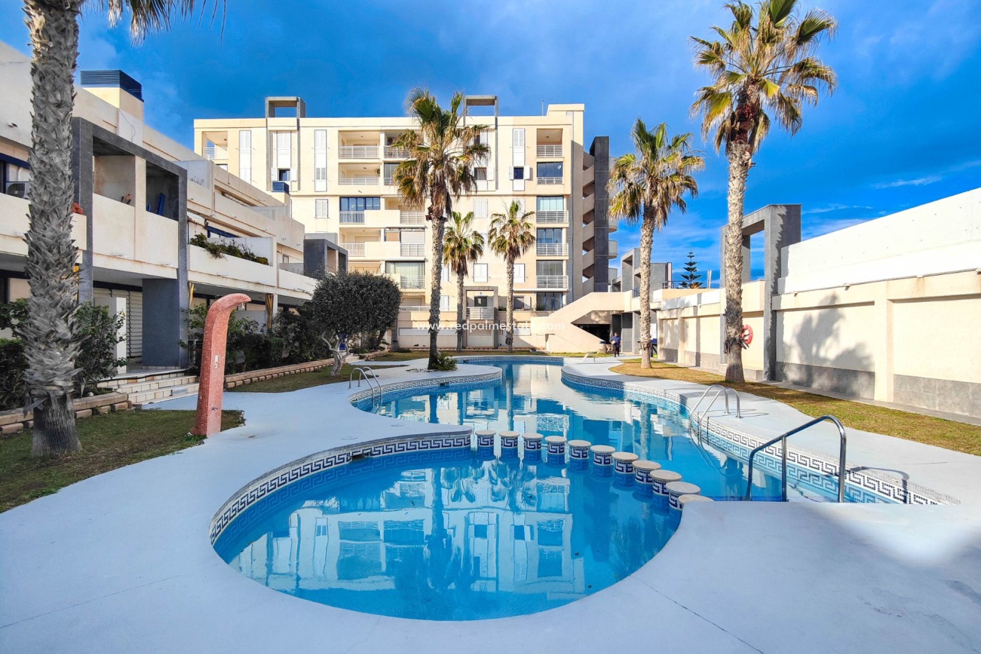 Reventa - Apartmentos -
Torrevieja