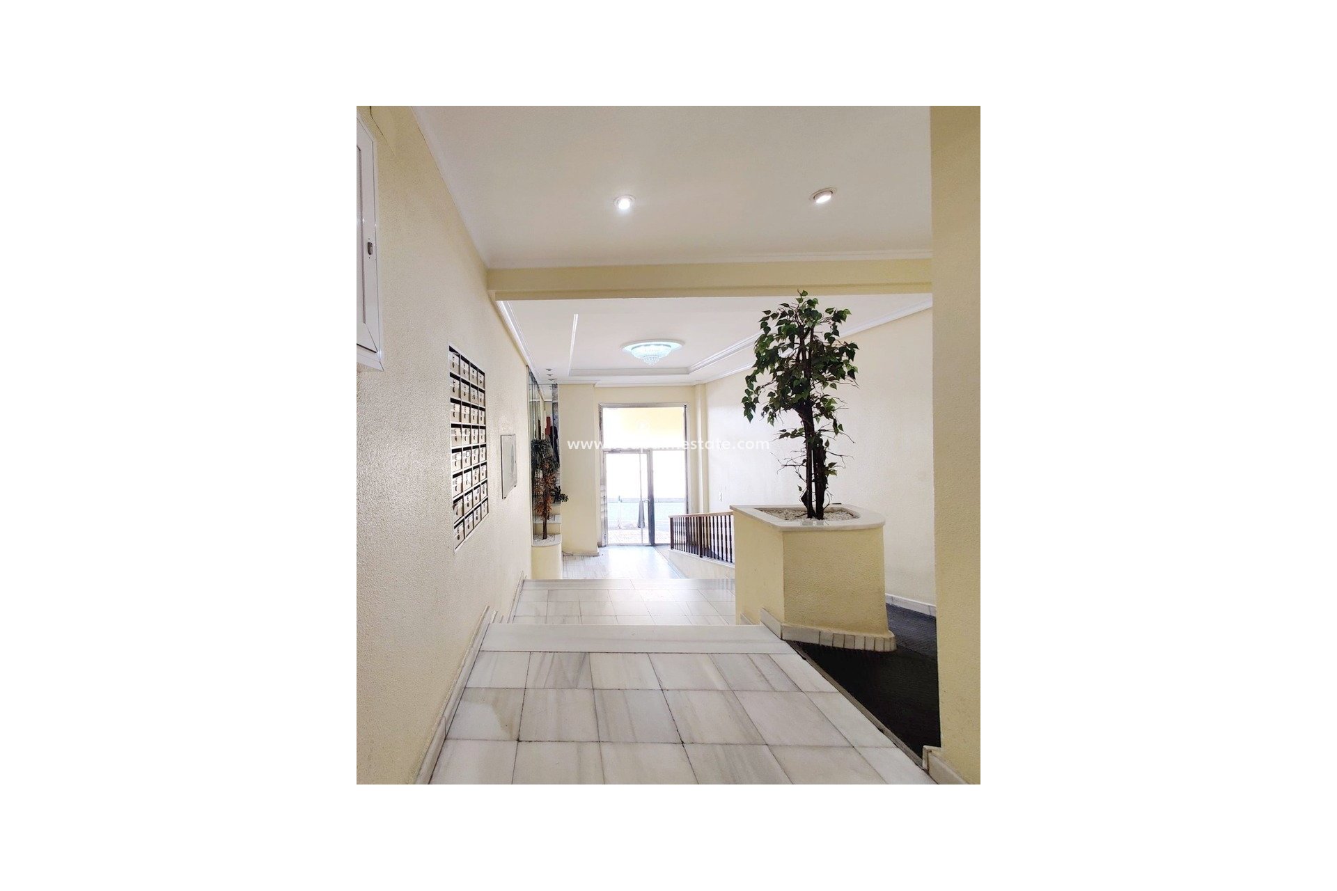 Reventa - Apartmentos -
Torrevieja