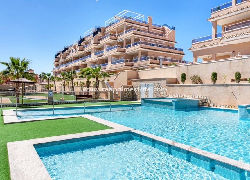 Reventa - Apartmentos -
Torrevieja