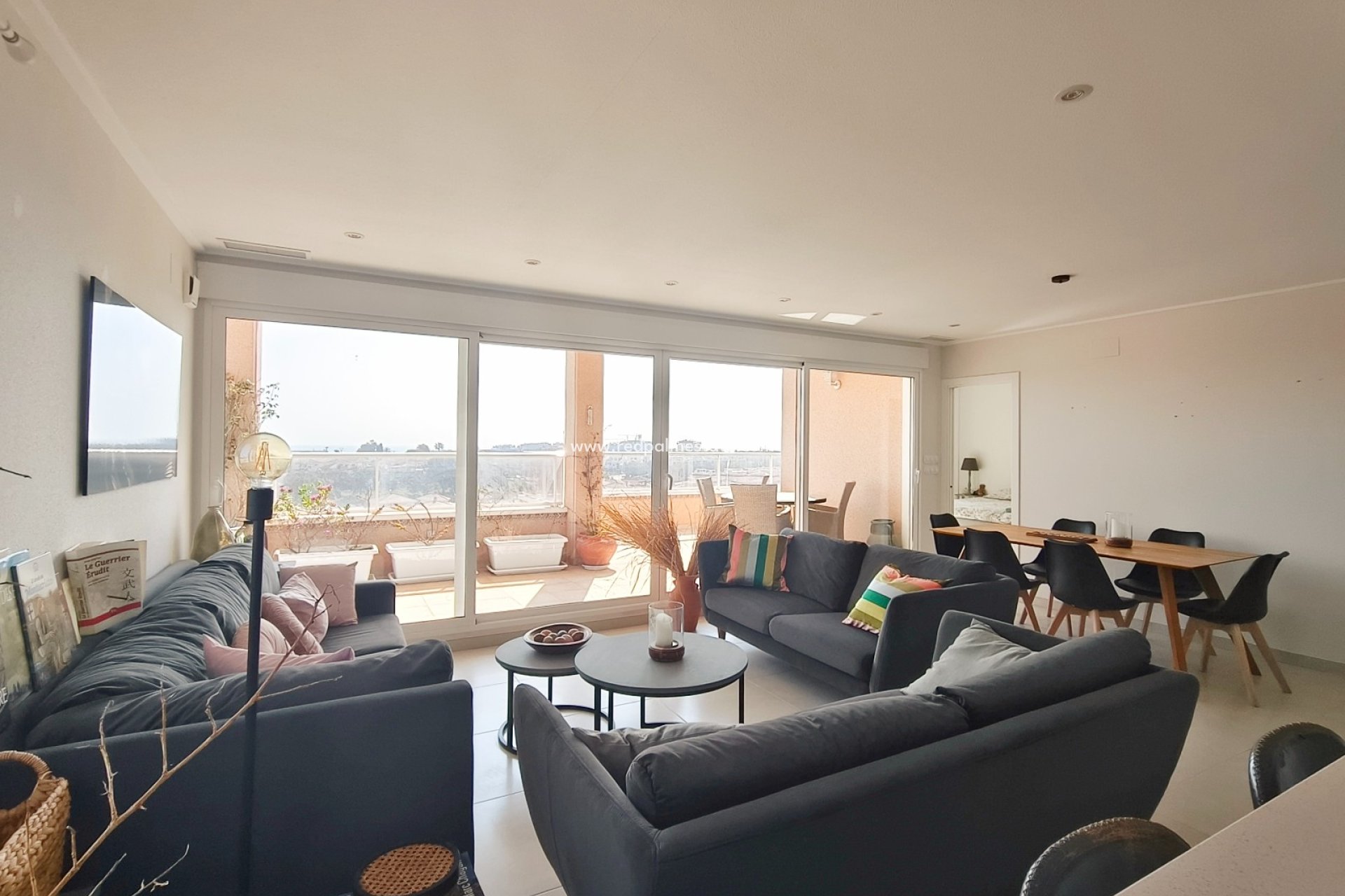 Reventa - Apartmentos -
Torrevieja