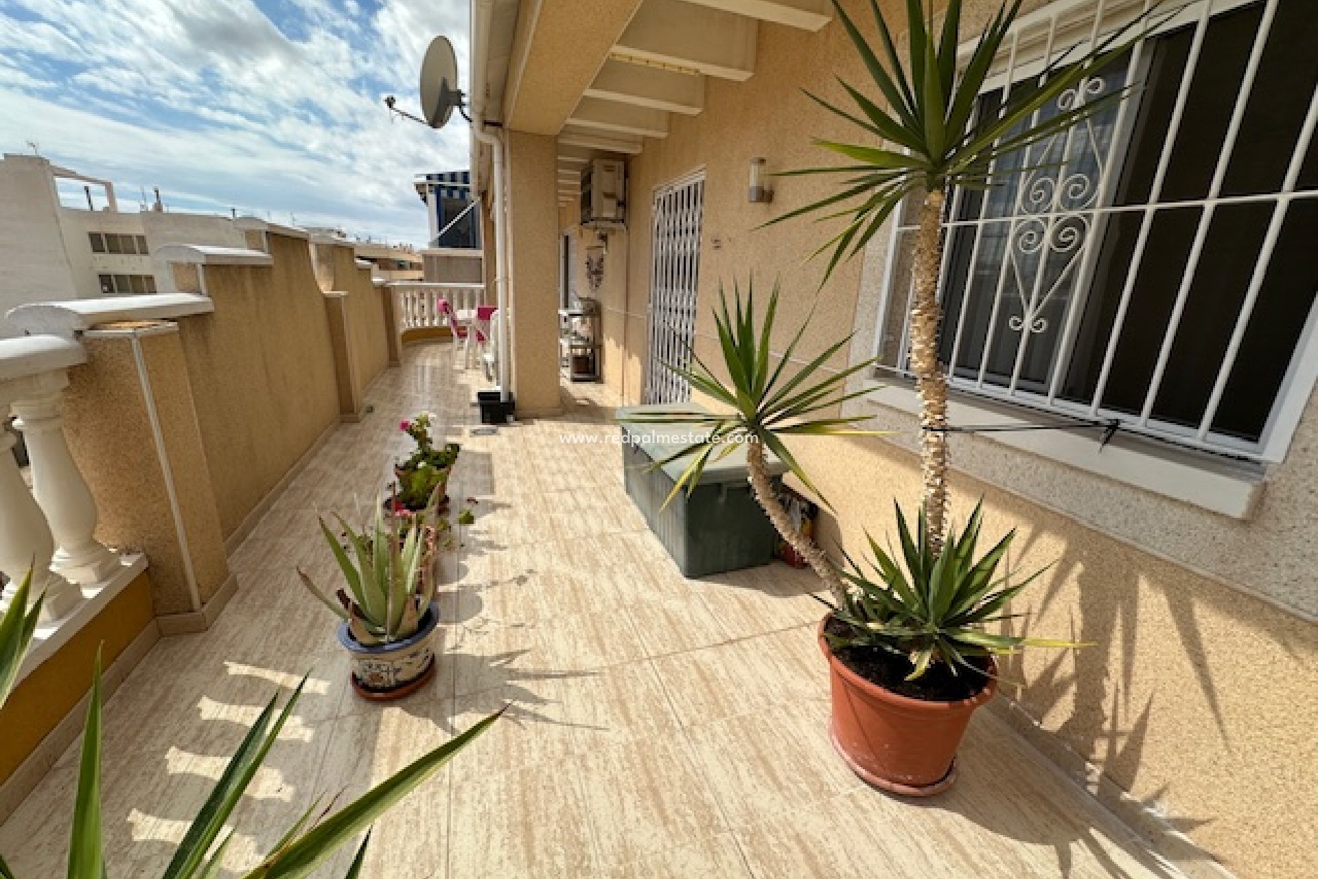 Reventa - Apartmentos -
Torrevieja