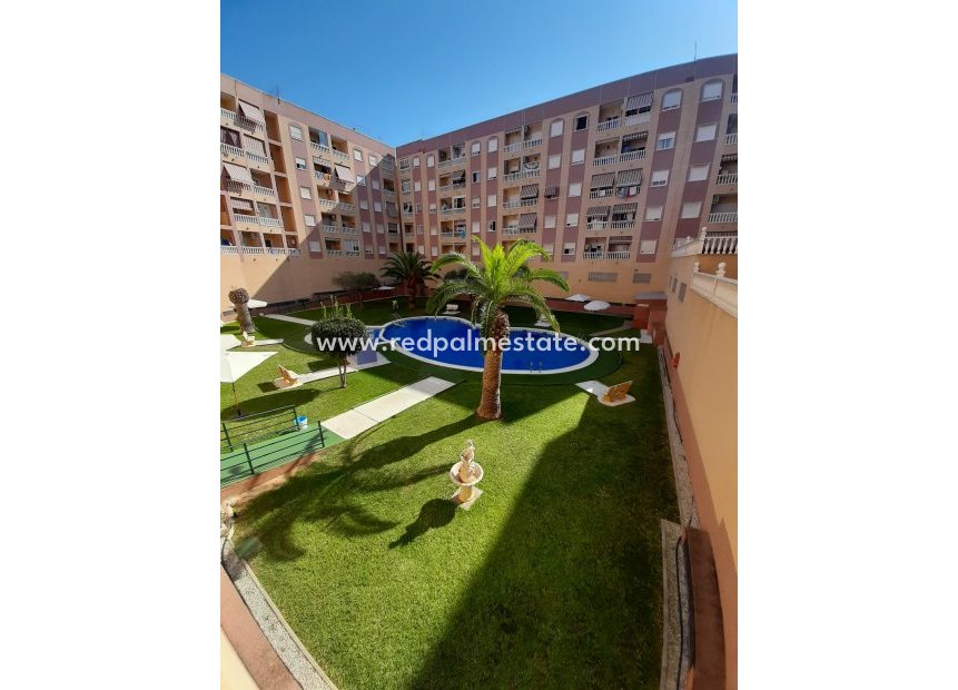 Reventa - Apartmentos -
Torrevieja