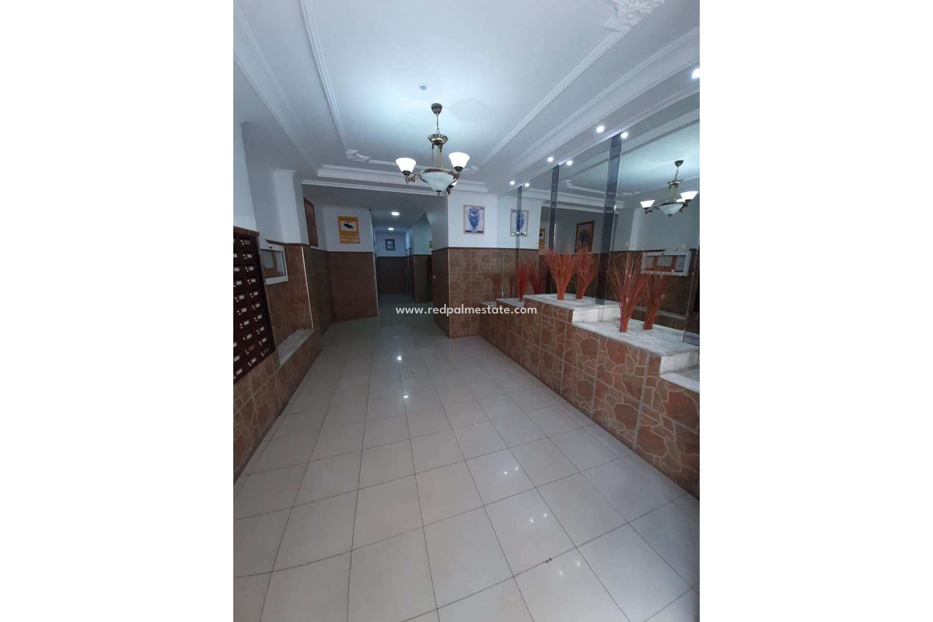 Reventa - Apartmentos -
Torrevieja