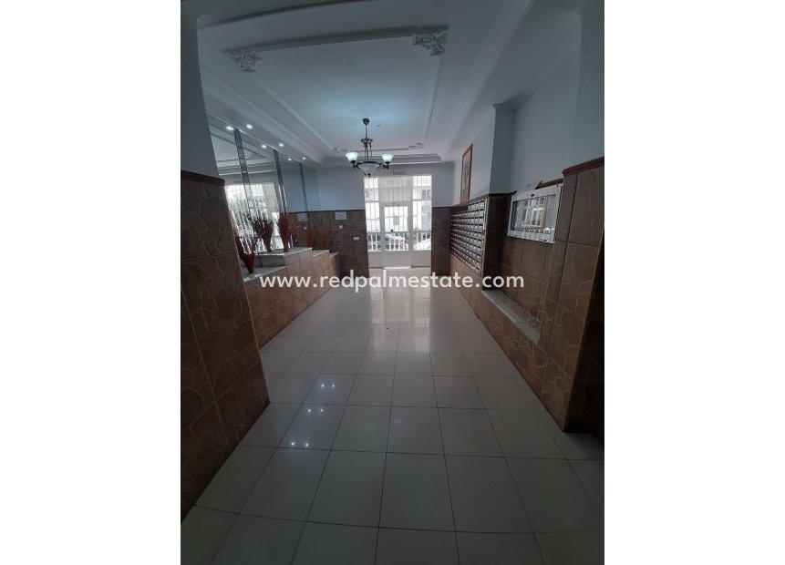 Reventa - Apartmentos -
Torrevieja