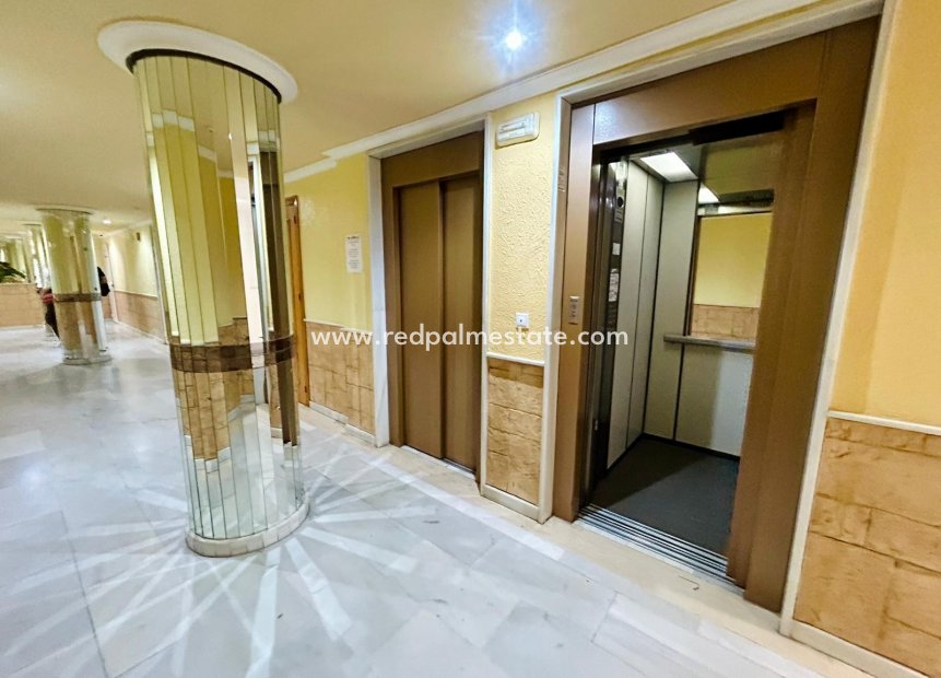 Reventa - Apartmentos -
Torrevieja