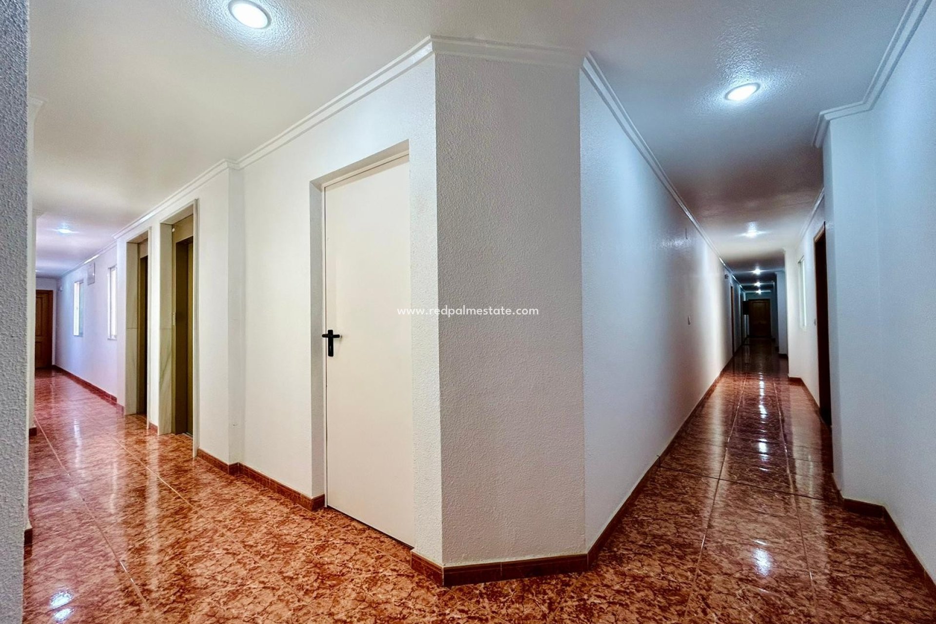 Reventa - Apartmentos -
Torrevieja