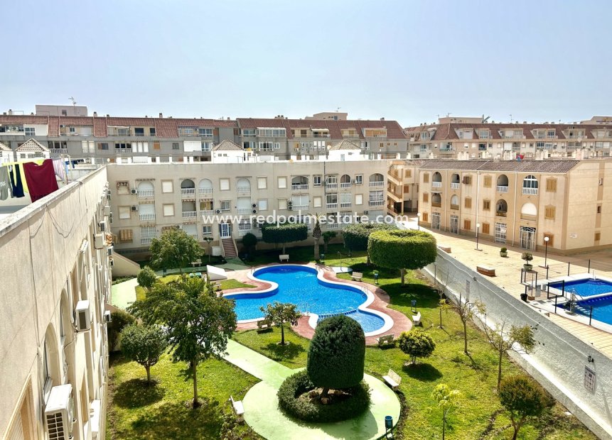 Reventa - Apartmentos -
Torrevieja