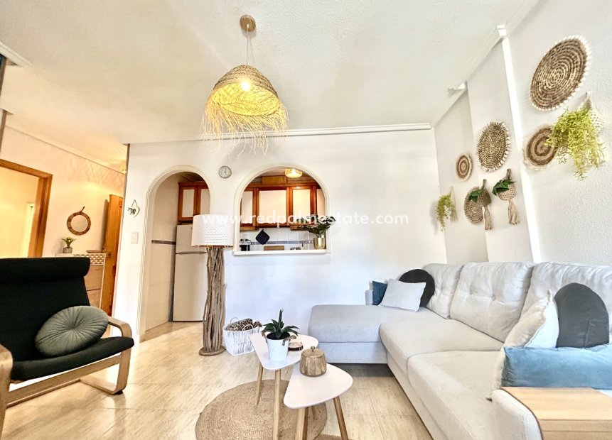 Reventa - Apartmentos -
Torrevieja