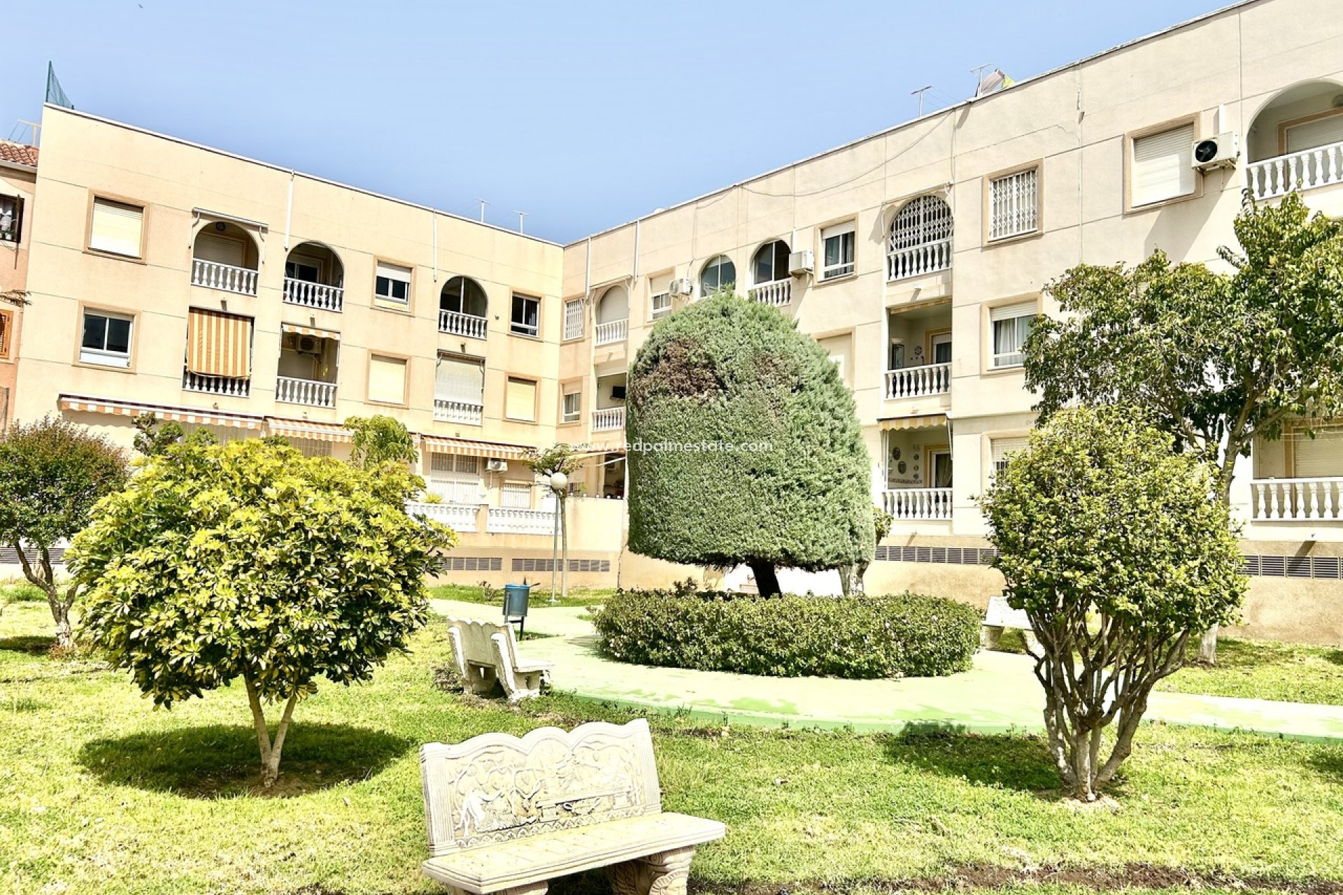 Reventa - Apartmentos -
Torrevieja